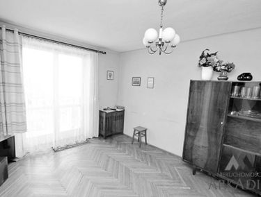 Zdjęcie 15318458