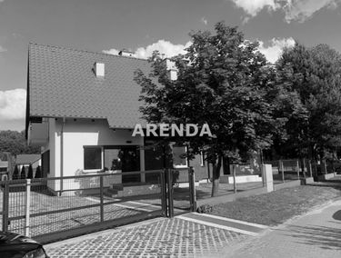 Zdjęcie 15319556