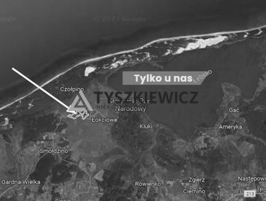Zdjęcie 15319681