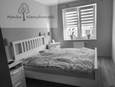 Zdjęcie 15319929