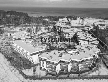 Zdjęcie 15320492