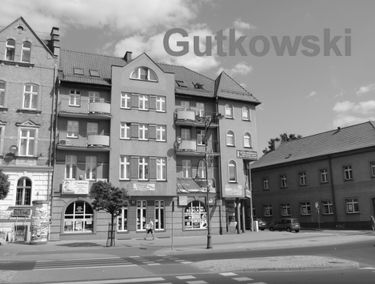 Zdjęcie 15320522