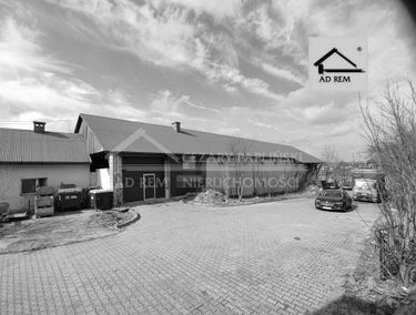 Zdjęcie 15320887