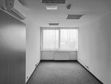 Zdjęcie 15320934