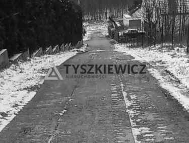 Zdjęcie 15321529