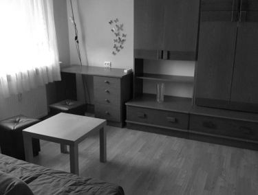 Zdjęcie 15321651