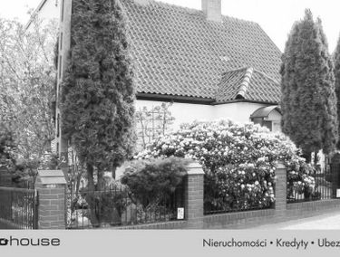 Zdjęcie 15321858