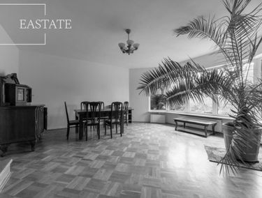 Zdjęcie 15322045