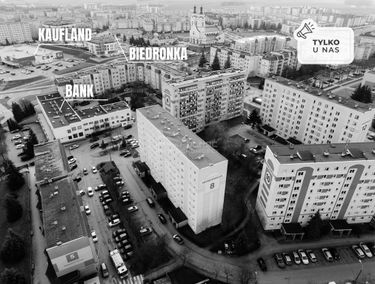 Zdjęcie 15322632