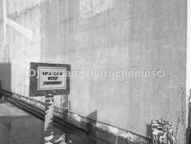 Zdjęcie 15322834