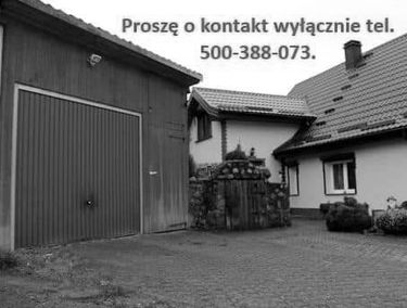 Zdjęcie 15323357