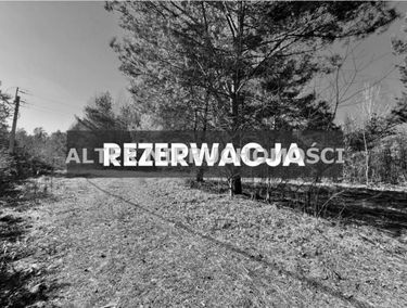 Zdjęcie 15323658