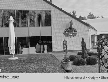 Zdjęcie 15324034