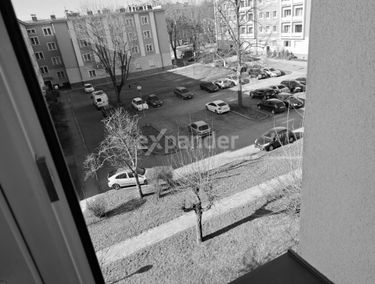 Zdjęcie 15324923