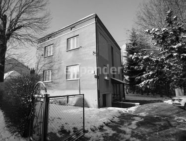 Zdjęcie 15324944
