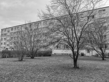 Zdjęcie 15325602