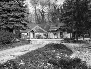 Zdjęcie 15326333