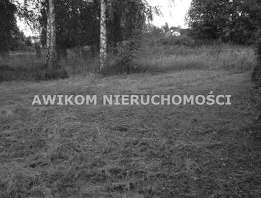 Zdjęcie 15327008
