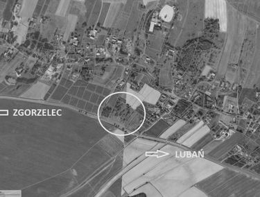 Zdjęcie 15327309
