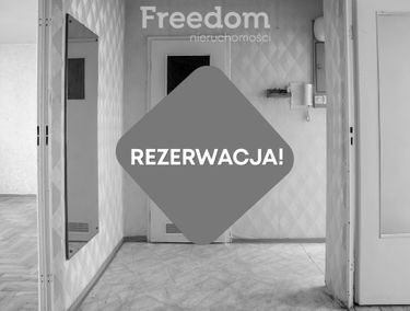 Zdjęcie 15328579