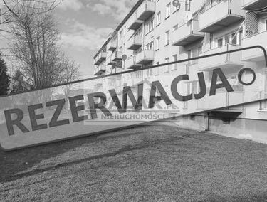 Zdjęcie 15329874