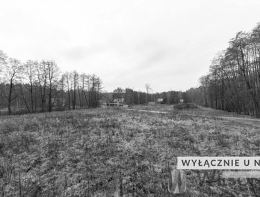 Zdjęcie 15329957