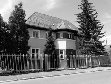 Zdjęcie 15330265