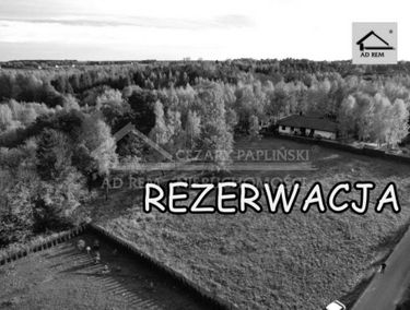 Zdjęcie 15330358