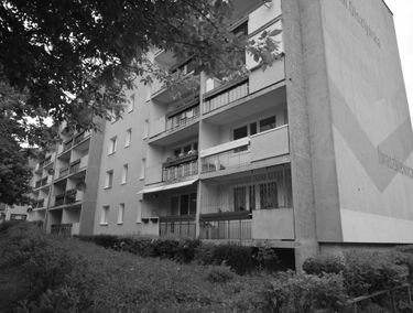 Zdjęcie 15330485