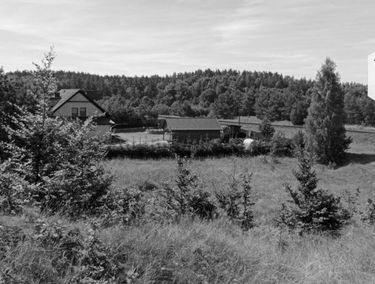 Zdjęcie 15330629