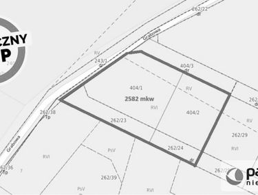 Zdjęcie 15330940