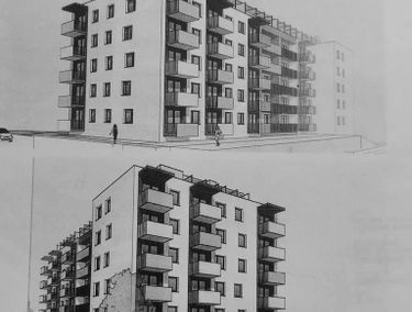 Zdjęcie 15331039