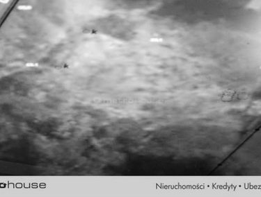 Zdjęcie 15331131