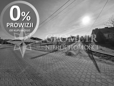 Zdjęcie 15331268