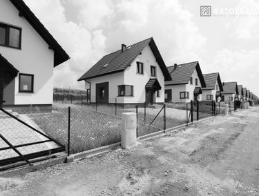 Zdjęcie 15331701