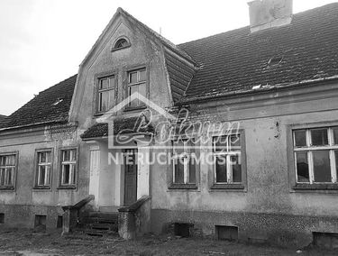 Zdjęcie 15331866