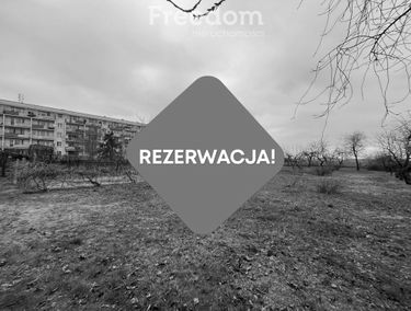 Zdjęcie 15332413