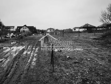 Zdjęcie 15333923