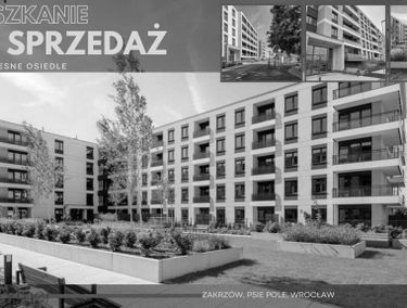 Zdjęcie 15334746