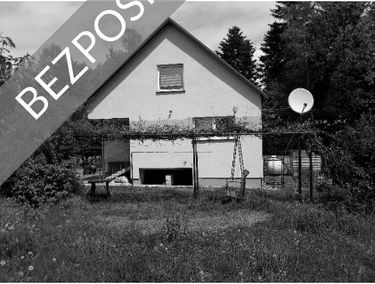 Zdjęcie 15336093