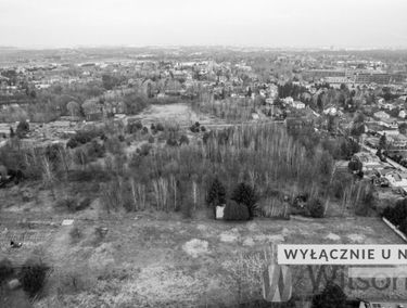 Zdjęcie 15336420