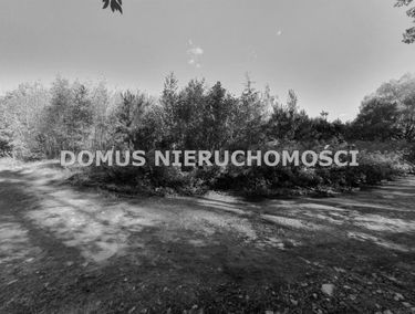 Zdjęcie 15336847