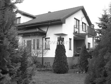 Zdjęcie 15337258