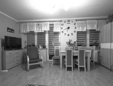 Zdjęcie 15337270