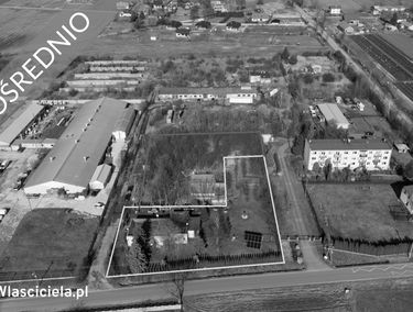 Zdjęcie 15337741
