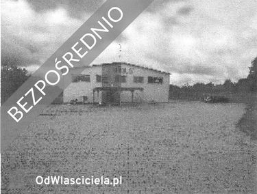 Zdjęcie 15337923