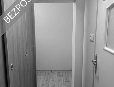 Zdjęcie 15338508