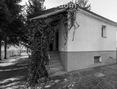 Zdjęcie 15339062