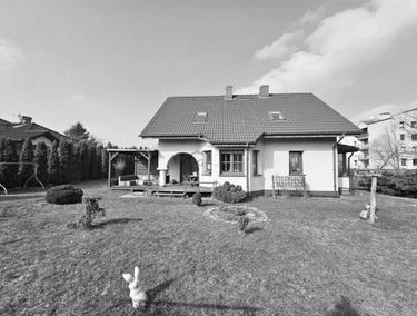 Zdjęcie 15340569