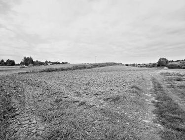 Zdjęcie 15341384